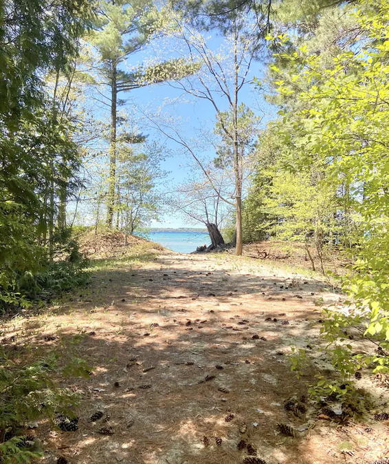 Karo-Lar Motel (Elk Rapids Lakeshore Inn) - Recent 2022 Photos From Motel Website (newer photo)